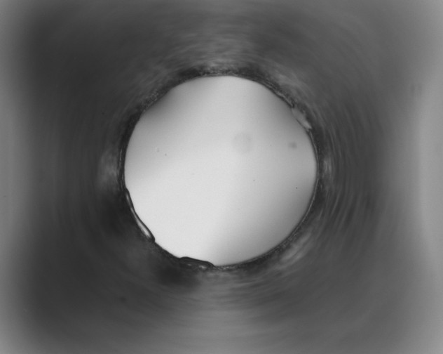 X0000088681300200706281934