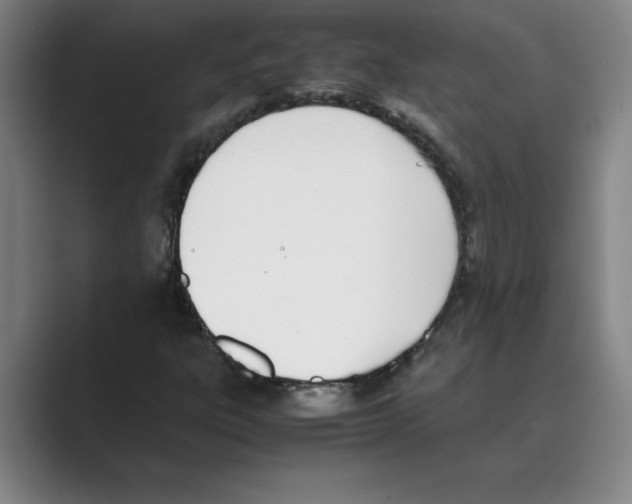 X0000088681303200706281934