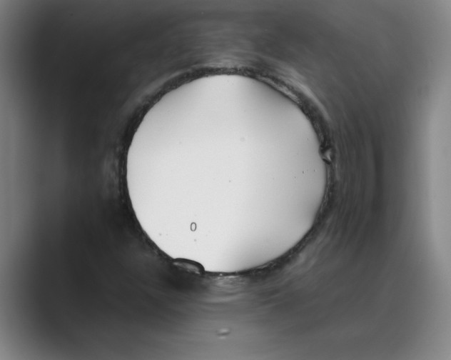 X0000088681304200706281934