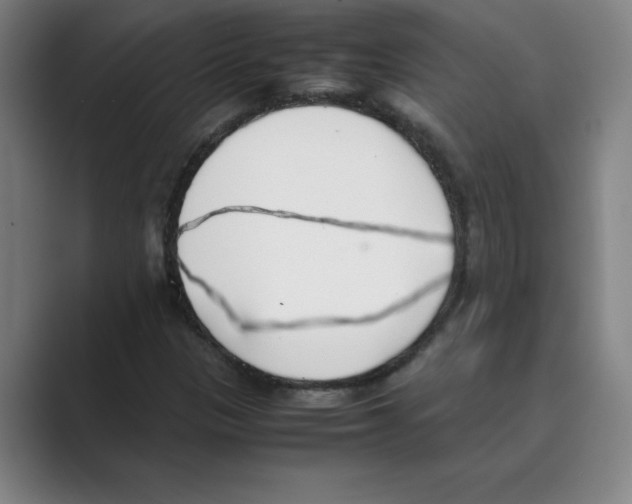 X0000088681305200706281934