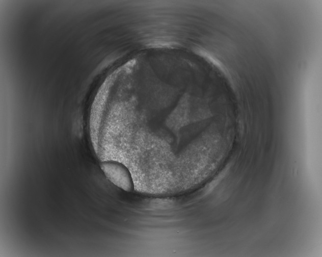 X0000088681306200706281934