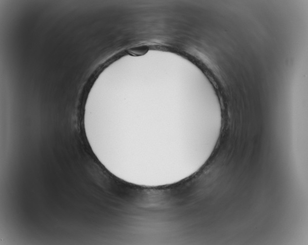 X0000088681308200706281934