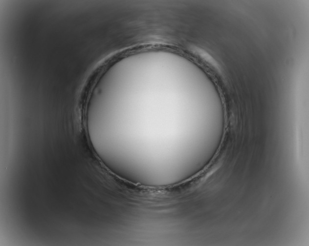 X0000088681310200706281934