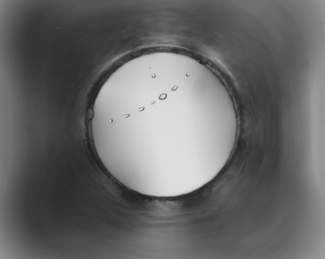 X0000088681312200706281934