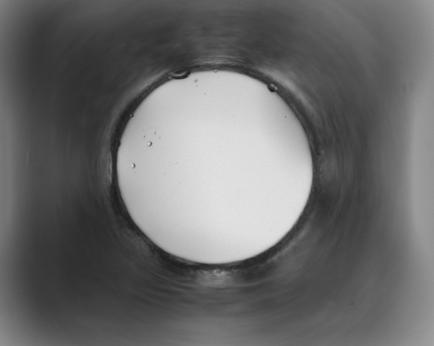 X0000088681317200706281934