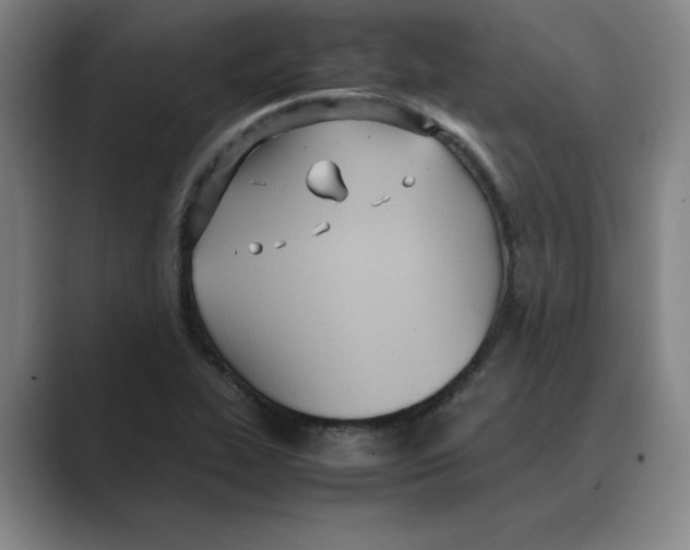 X0000088681319200706281934