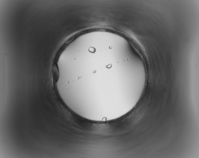 X0000088681320200706281934