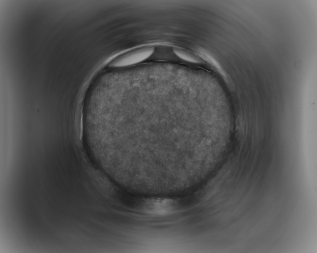 X0000088681323200706281934