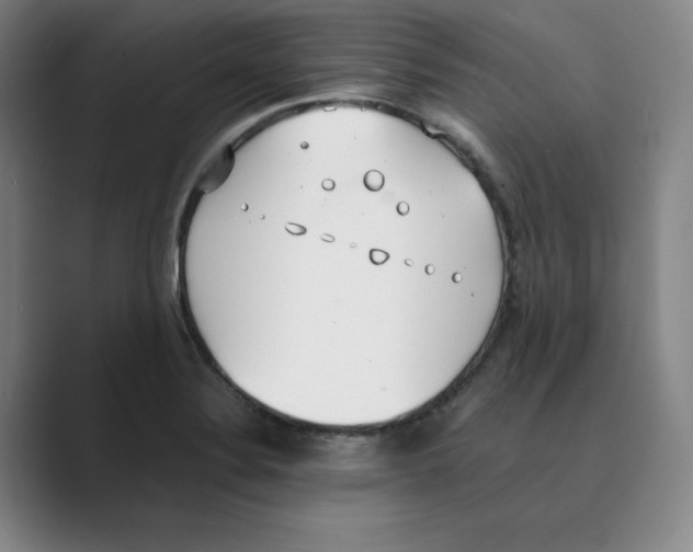 X0000088681324200706281934