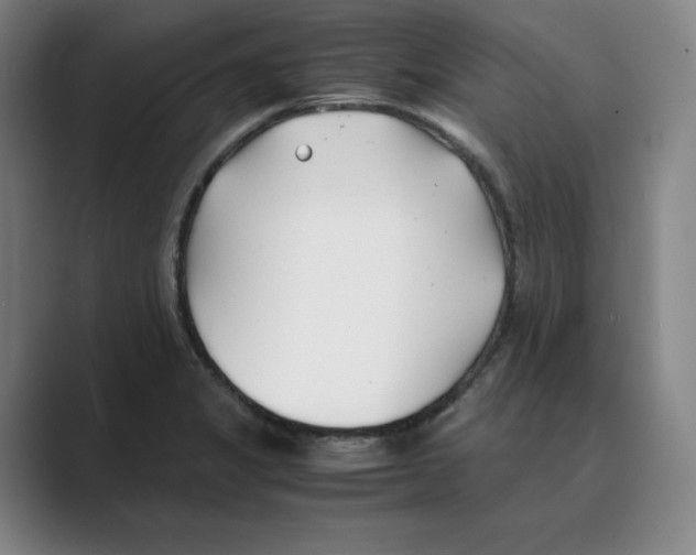 X0000088681325200706281934