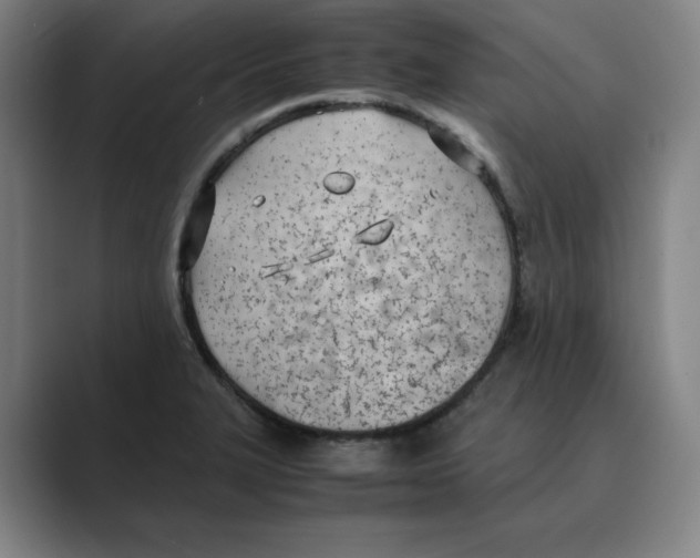 X0000088681327200706281934