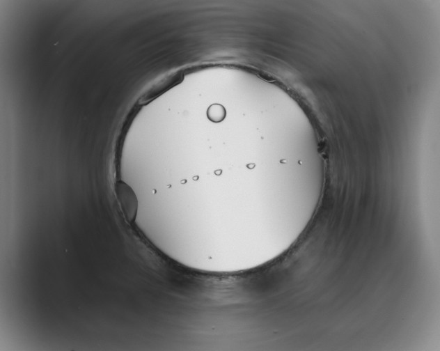 X0000088681328200706281934