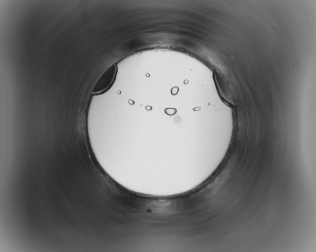 X0000088681329200706281934