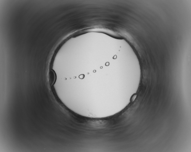 X0000088681331200706281934