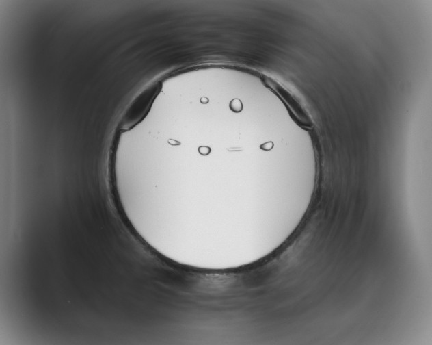 X0000088681333200706281934