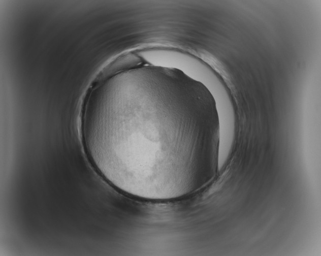 X0000088681334200706281934