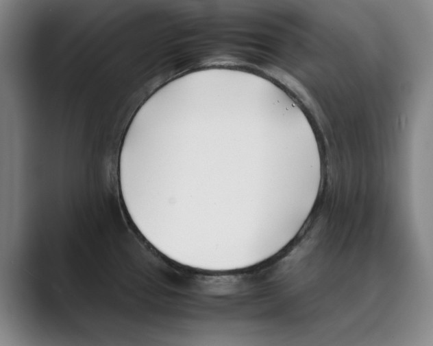 X0000088681337200706281934