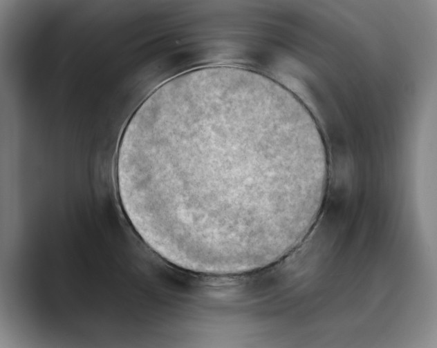 X0000088681338200706281934