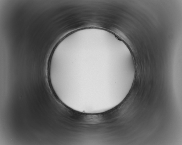 X0000088681339200706281935