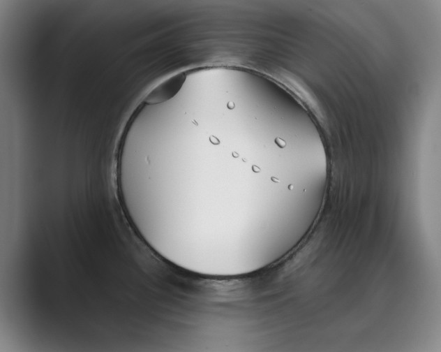 X0000088681340200706281935