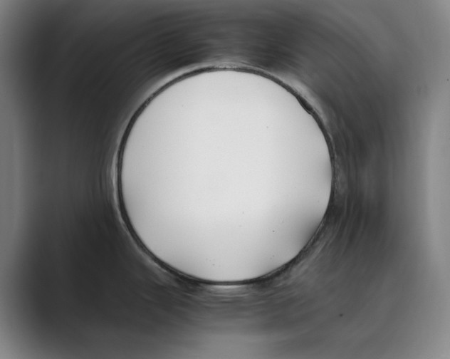 X0000088681343200706281935