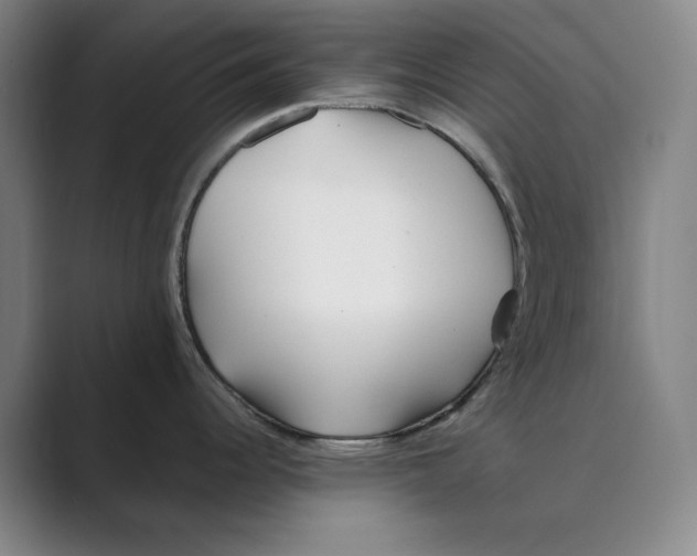 X0000088681344200706281935