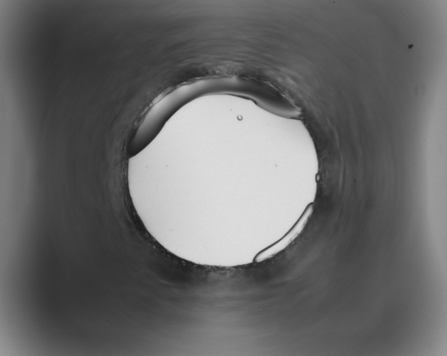 X0000088681345200706281934