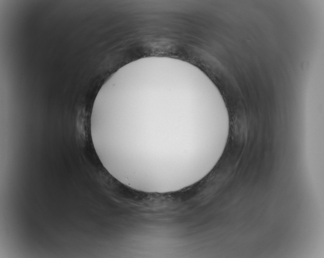 X0000088681346200706281934