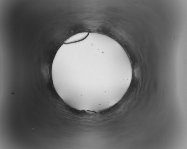 X0000088681347200706281934