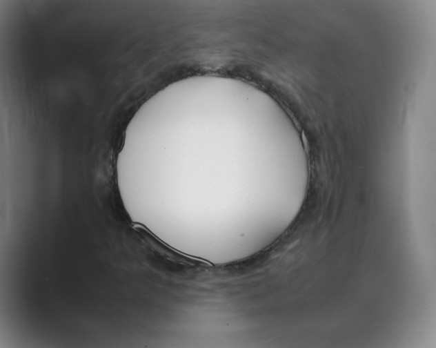 X0000088681349200706281934