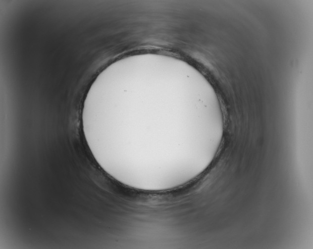 X0000088681355200706281934