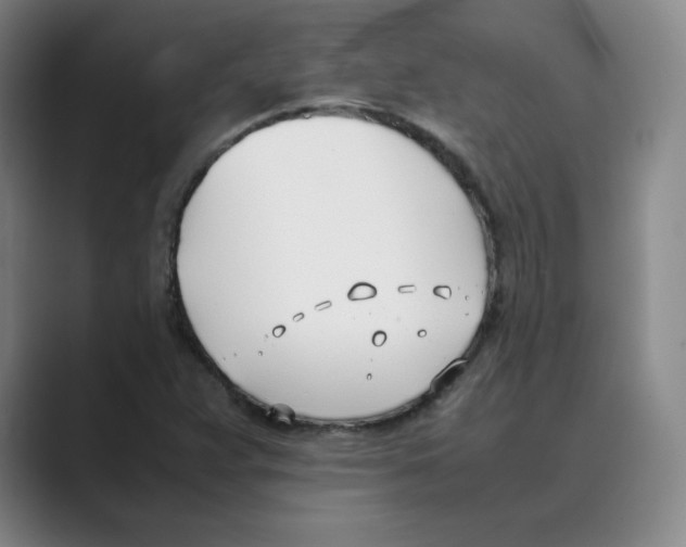 X0000088681359200706281934