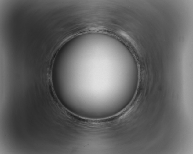 X0000088681361200706281934