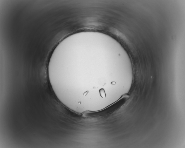 X0000088681362200706281934