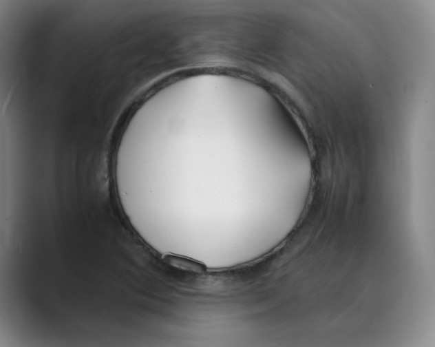 X0000088681364200706281934