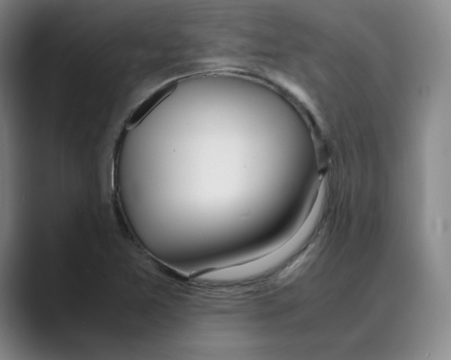 X0000088681365200706281934