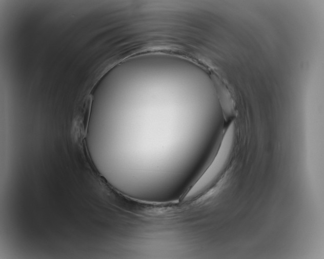 X0000088681369200706281934