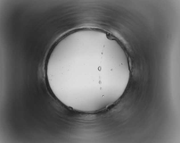 X0000088681372200706281934