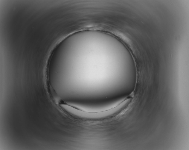 X0000088681373200706281934