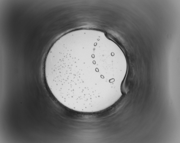 X0000088681375200706281934