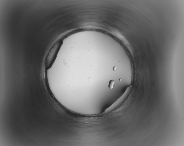 X0000088681376200706281934