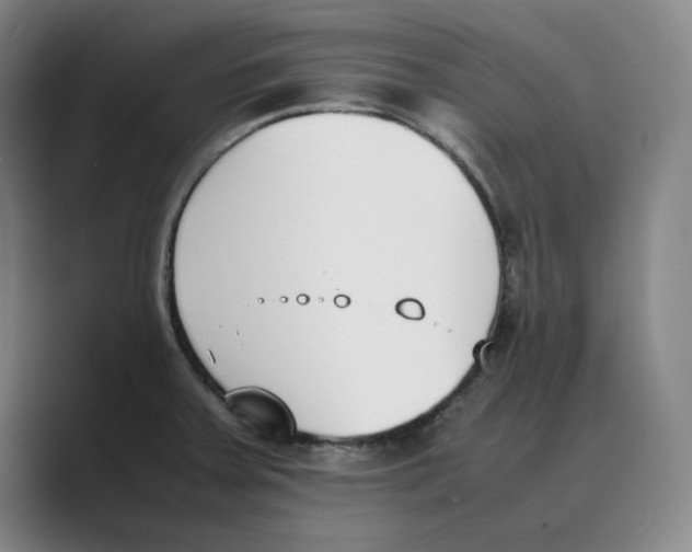 X0000088681379200706281934