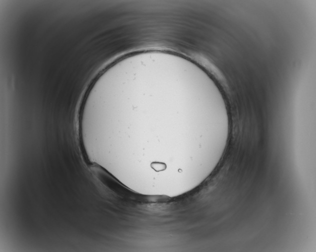 X0000088681380200706281934