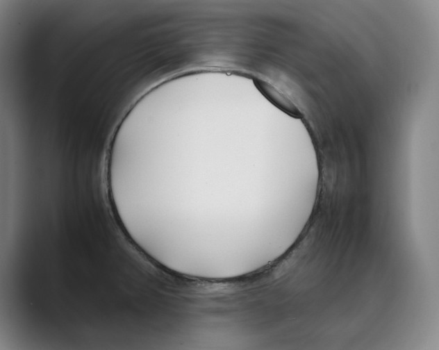 X0000088681382200706281933