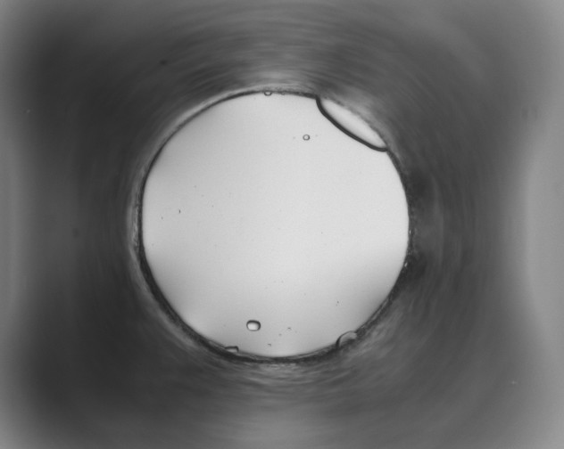 X0000088681383200706281933