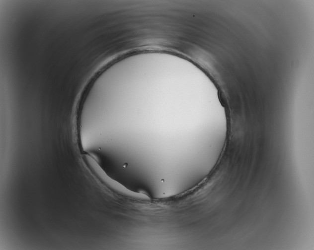 X0000088681384200706281933