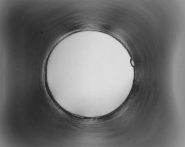 X0000088681387200706281933