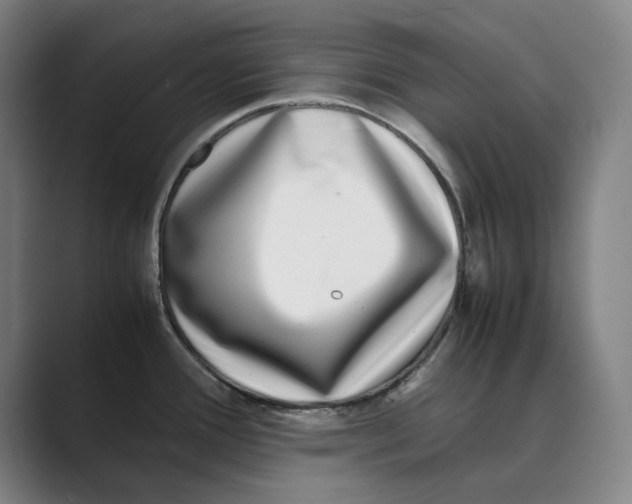 X0000088681388200706281933