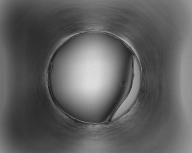 X0000088681389200706281933