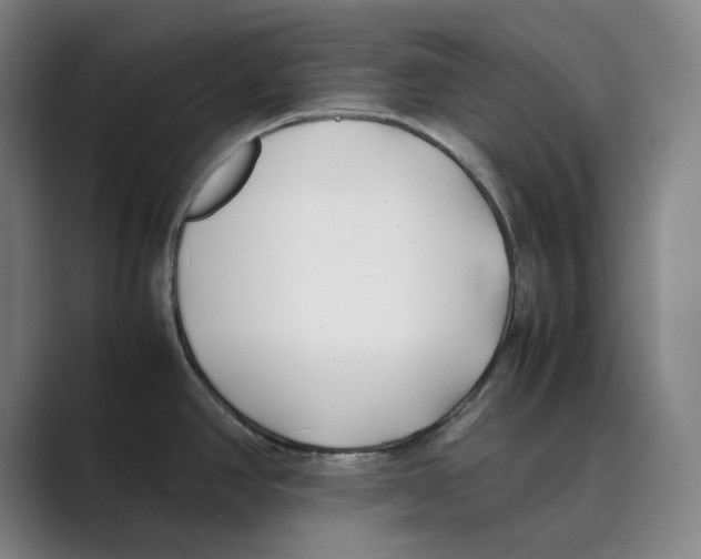 X0000088681390200706281933